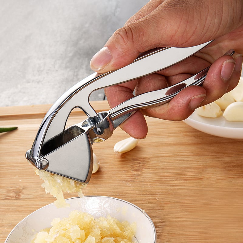 Stainless Steel Handheld Garlic Press Tool